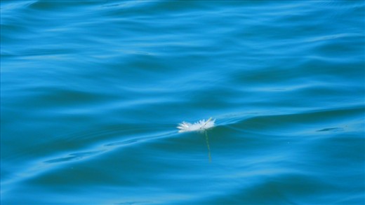 Simple,minimalistic way to see their pain.