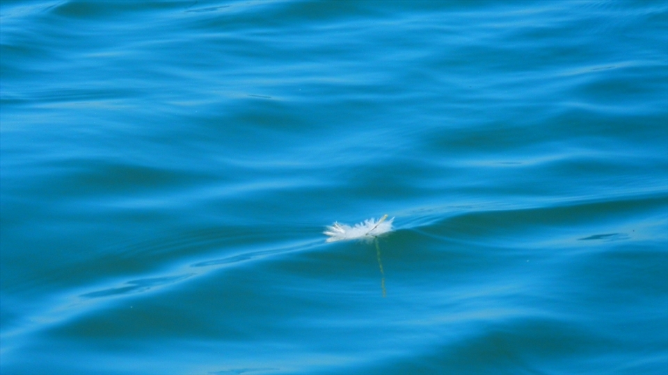 Simple,minimalistic way to see their pain.