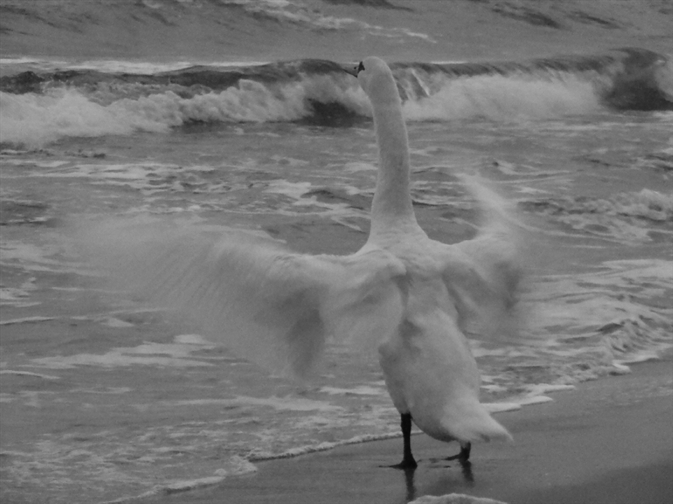 Resisting to the water
The awesome way to fight nature's cold and wet hug. 