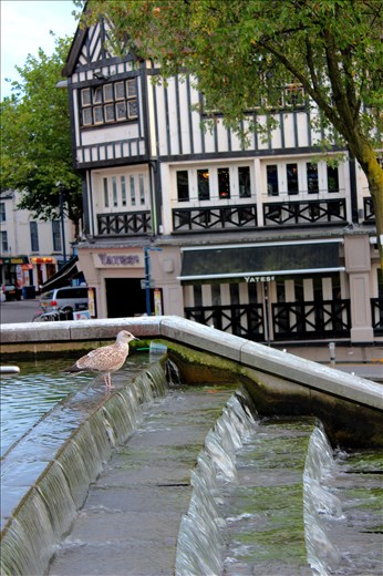 High Street Fountains