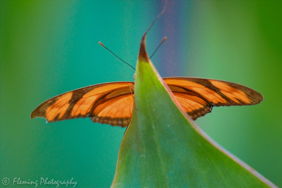 You can't see me! - Belfast, Northern Ireland