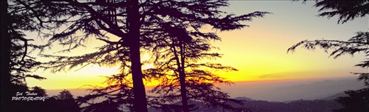 This is how my place say's good morning.