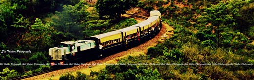 Toy train, nearly 60  years old. the view outside my house