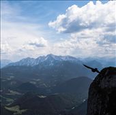 A bird soars above the mountains in Salzburg, Austria. The image was capture after a 4 hour hike up Mt. Untersberg, it capture all the beauty of the mountains and to me expresses the complete sense of freedom you feel at the top. : by saint33d, Views[777]