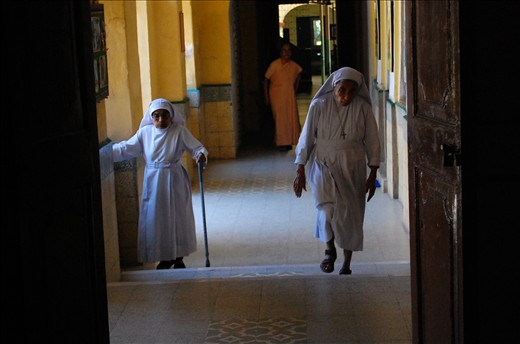 New dawn, Sr. Felix on her usual stroll, but with a longing to meet Alice, soon