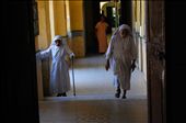 New dawn, Sr. Felix on her usual stroll, but with a longing to meet Alice, soon: by sajitha, Views[150]