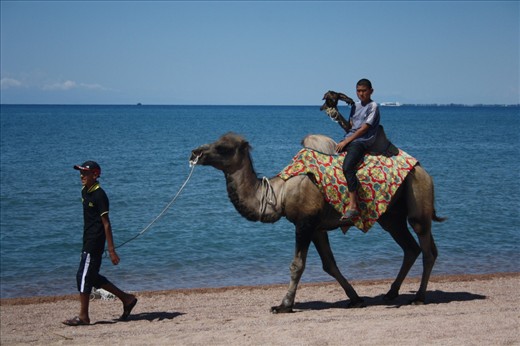 Two brothers are working on a beach with a Camel and an Owl in Isykul, Kyrgyzstan.