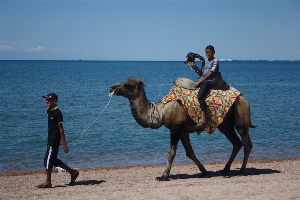 Two brothers are working on a beach with a Camel and an Owl in Isykul, Kyrgyzstan.