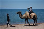 Two brothers are working on a beach with a Camel and an Owl in Isykul, Kyrgyzstan.: by sajjad, Views[680]