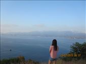 by sakura, Views[130]