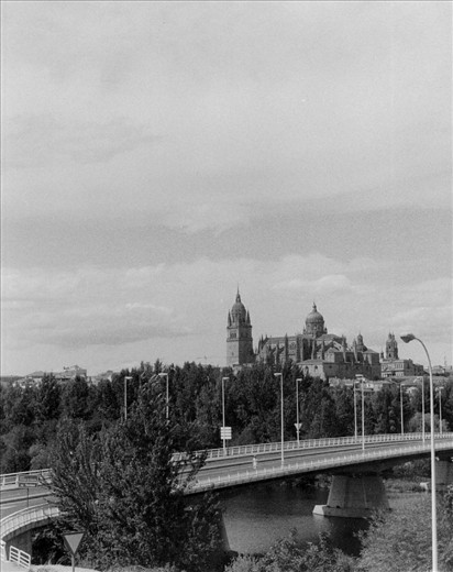 The old and famous cathedral of Salamanca 