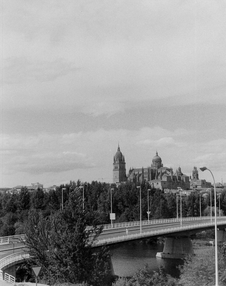 The old and famous cathedral of Salamanca 