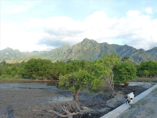 The spectacular mountains of Oecusse, where residents hid for two months from militia forces after the 1999 referendum for independence, until the Interfet peacekeeping force was deployed to liberate the enclave.