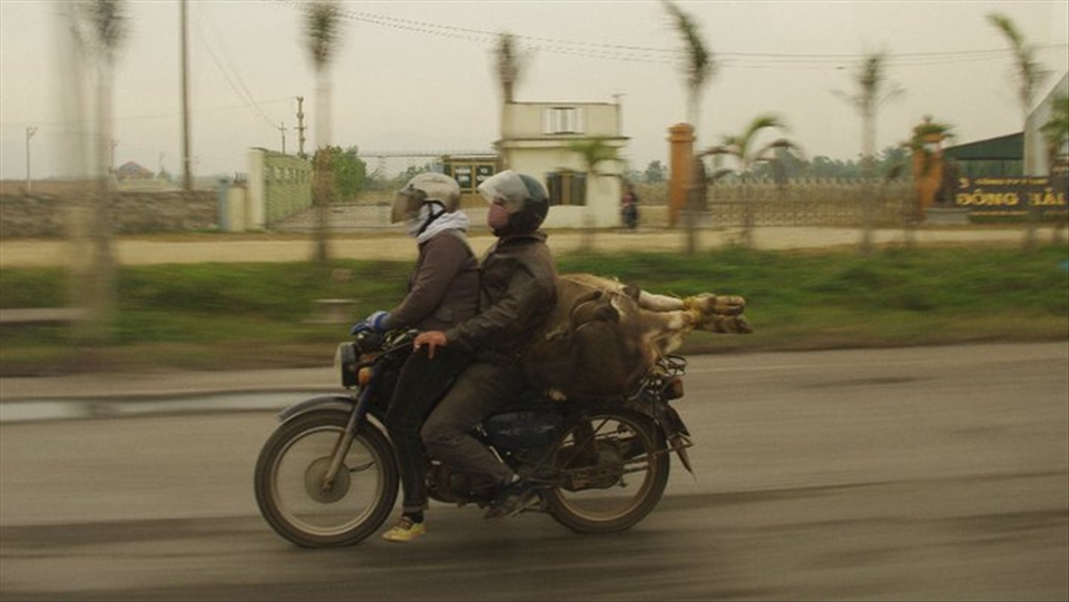 Who needs a truck? Everything you need fits on the the back of your bike.