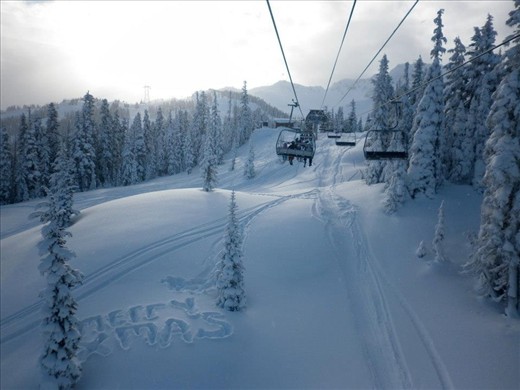 Fresh tracks on christmas day.