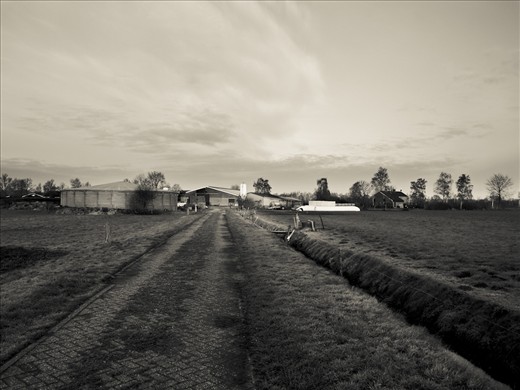 The farm
