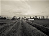 The farm: by samaniego, Views[287]