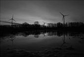Farmer's windmills representing green development of the farm.: by samaniego, Views[359]