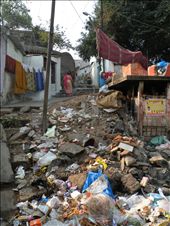 In-country migration, increased birth rates, and an infrastructure struggling to keep up leave many Indians with nowhere to dispose of garbage but the street. Waste pickers provide a valuable social, economic, and environmental service by collecting reusable or recyclable materials to sell.  : by samanthat, Views[661]