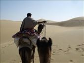 Camel trek, Jaisalmer: by samanthatubby, Views[178]