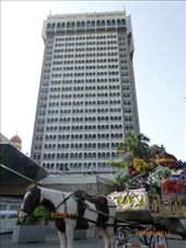 by samchilds17, Views[154]