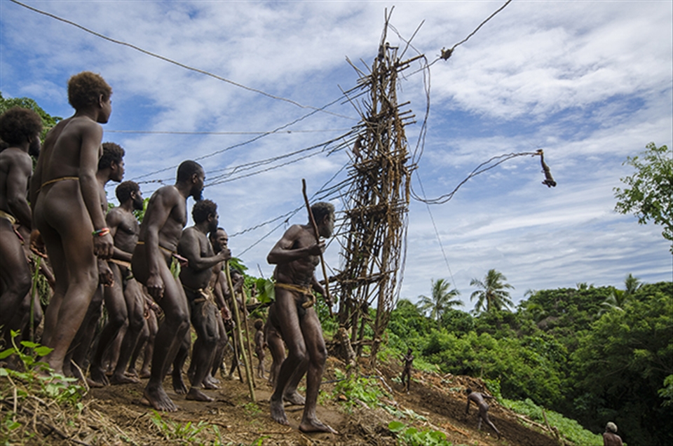 Jump! Land divers of Pentecost
