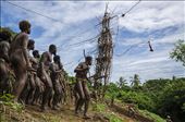 Jump! Land divers of Pentecost: by samcreek, Views[388]