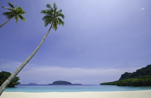 Another palm fringed beach, Champagne Beach, Santo