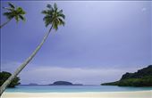 Another palm fringed beach, Champagne Beach, Santo: by samcreek, Views[190]