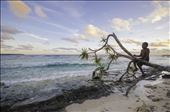 Pikinini from Pango plays on the beach during sunset: by samcreek, Views[158]