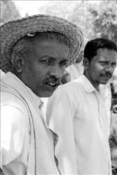 Monaragala is the major corn producing district of Sri Lanka. And the majority of the people here are corn farmers. Rain is a crucial factor for the cultivation. Both drought and heavy rains can damage the crop. Here this farmer is worried about the inadequacy of rainwater for his cultivation since that is what keeps his family fed. : by sameeraabeysuriya, Views[854]