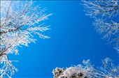 Skies of Blue: by samiilee13, Views[333]