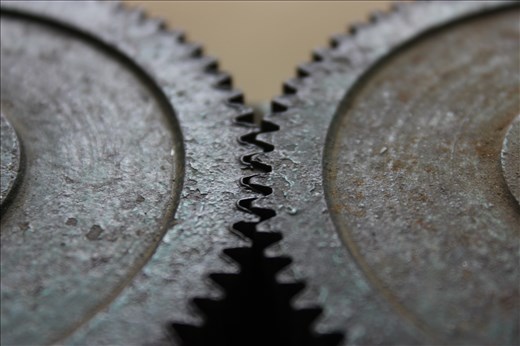 Cogs in market store in Chile