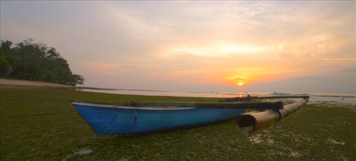 A lone boat rests on a bed of sea grass on low tide after a day of fishing.