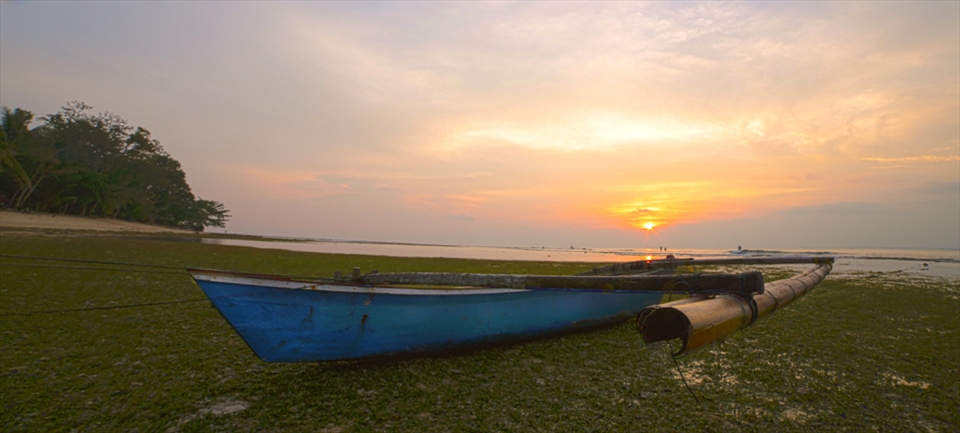 A lone boat rests on a bed of sea grass on low tide after a day of fishing.
