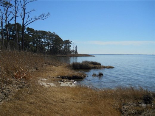 View of the Roanoke Sound from Nags Head Nature Preserve