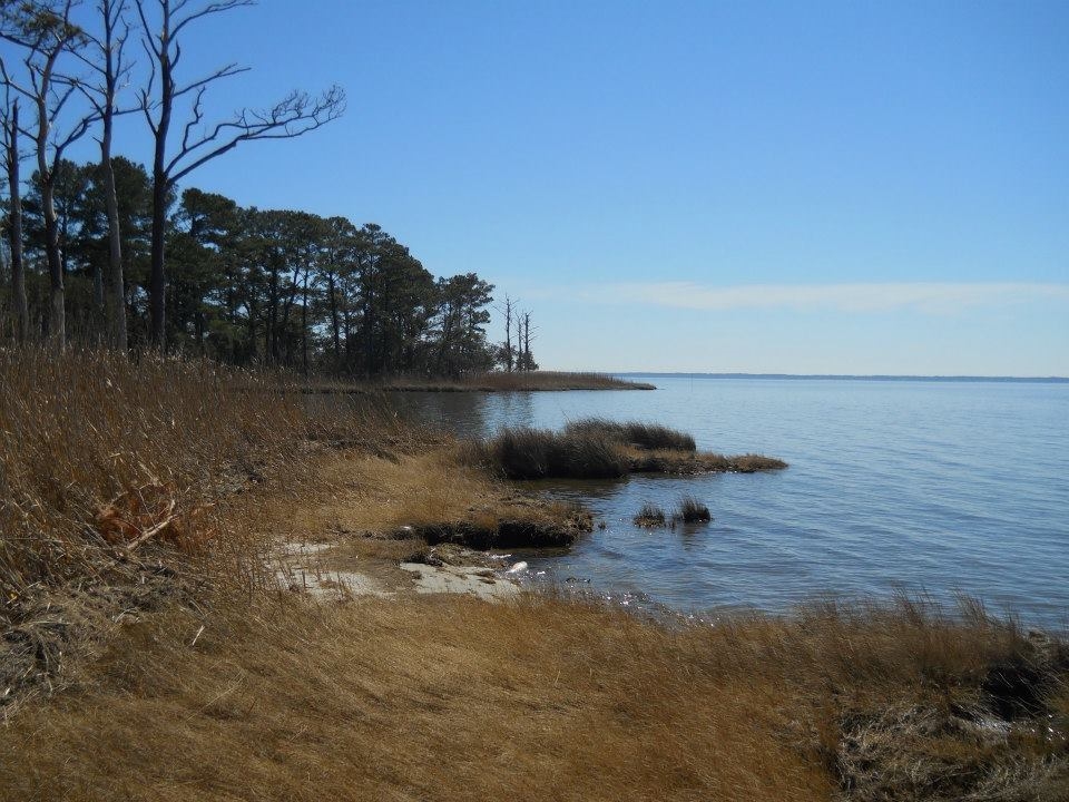 View of the Roanoke Sound from Nags Head Nature Preserve