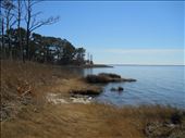 View of the Roanoke Sound from Nags Head Nature Preserve: by sammisea, Views[239]