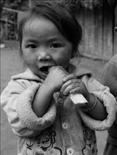 Young girl eating sugar cane, hill tribes bordering Laos: by sammyp, Views[1411]