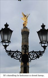 It's standing in between a street lamp: by samphors, Views[428]