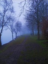 In one cold January morning: by samsara, Views[310]