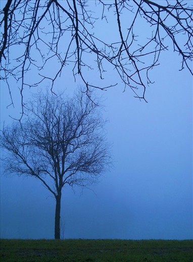 near a small Italian village