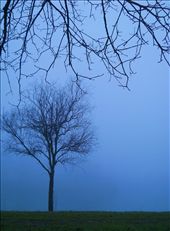 near a small Italian village: by samsara, Views[305]