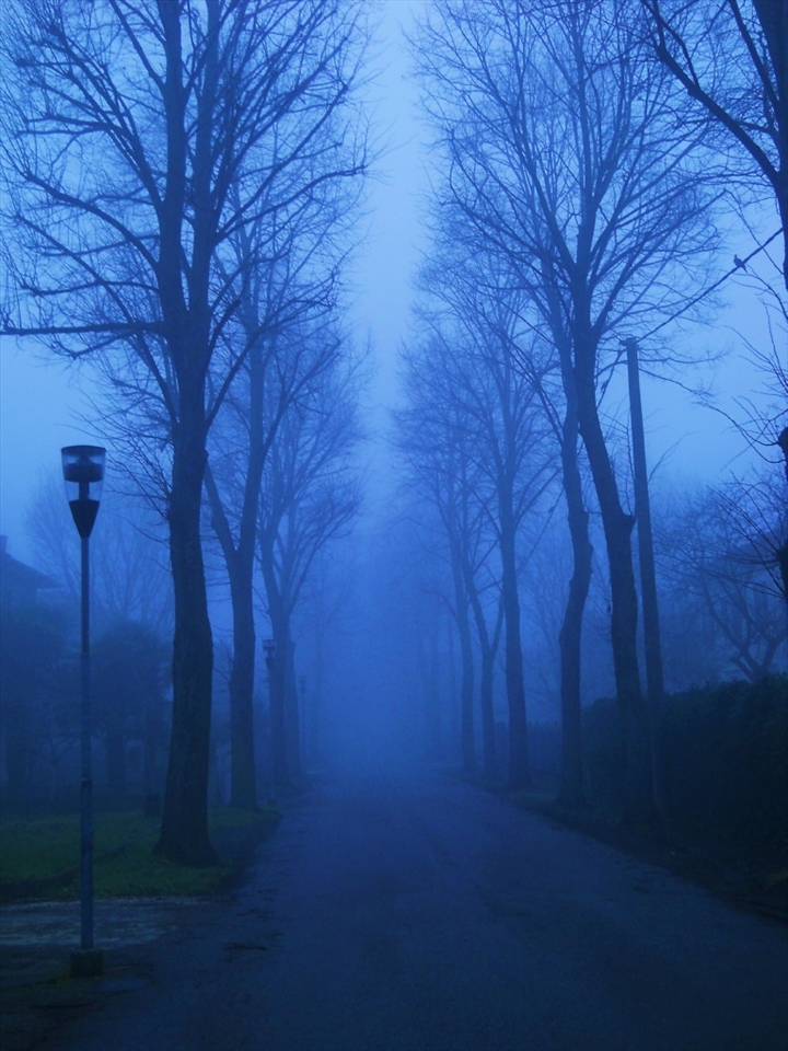 hoping the fog will disappear as fast and quiet as it came...