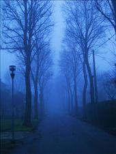 hoping the fog will disappear as fast and quiet as it came...: by samsara, Views[347]