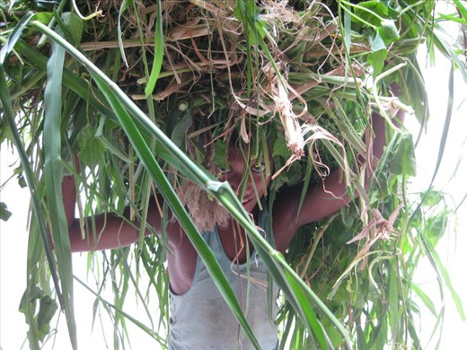 This poor boy is hardworking and he believes in working to make ends meet.