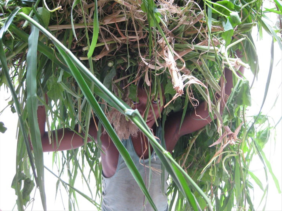 This poor boy is hardworking and he believes in working to make ends meet.