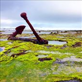 Wrecked - Wreck Beach: by samtolliday, Views[267]