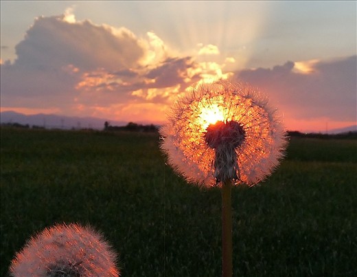 Herein lies the beauty of the end.