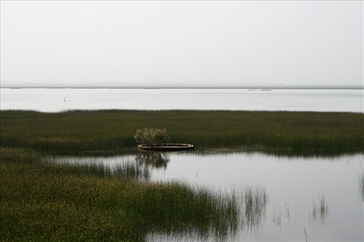 To The Rann of Kutch
